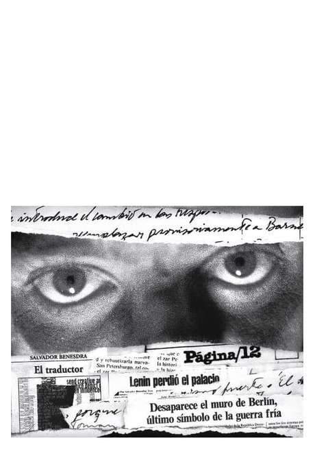 Amongst universally grey cats